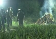 हाथरस पीड़िता की मौत के बाद आनन-फानन में अंतिम संस्कार पर हाईकोर्ट ने संज्ञान लिया