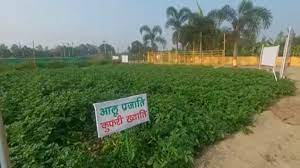 download - 2021-06-07T151509.650