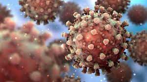 download - 2021-07-14T124257.576