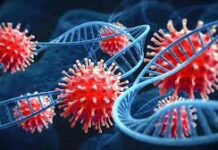 अमेरिकी वैज्ञानिकों ने विकसित किया कोरोना से भी घातक वेरिएंट, 80 फीसदी लोगों की जा सकती है जान